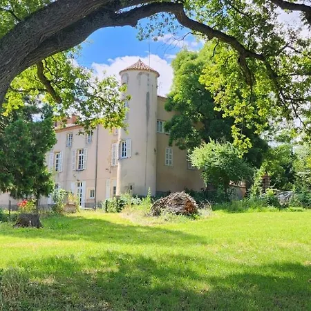 Chateau De Bethel * Les Pradeaux