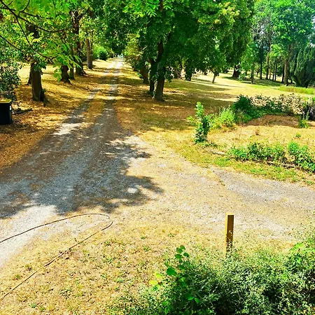Chateau De Bethel * Les Pradeaux